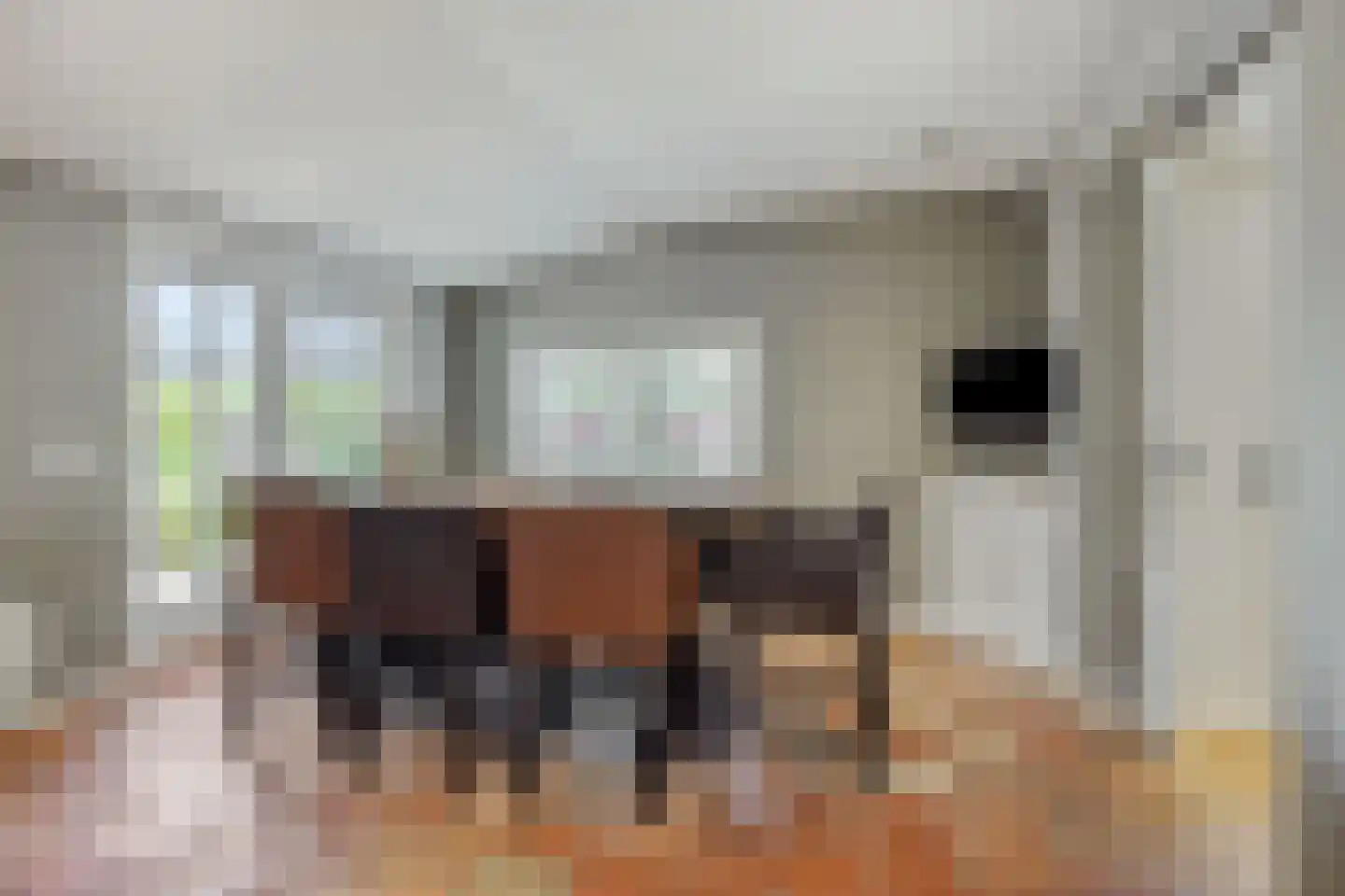 Hogesteeg 40 Ammerzoden thumbnail 11