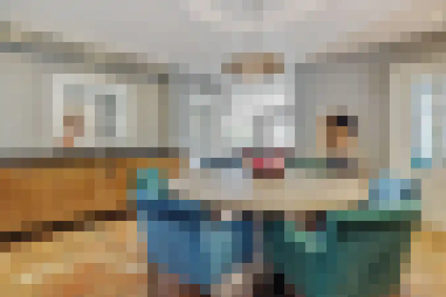 Hogesteeg 40 Ammerzoden thumbnail 16