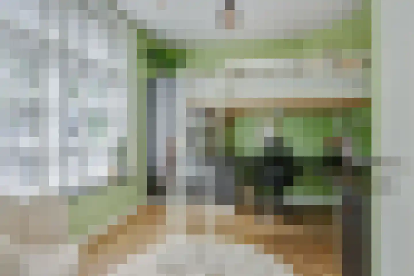 Hogesteeg 40 Ammerzoden thumbnail 20