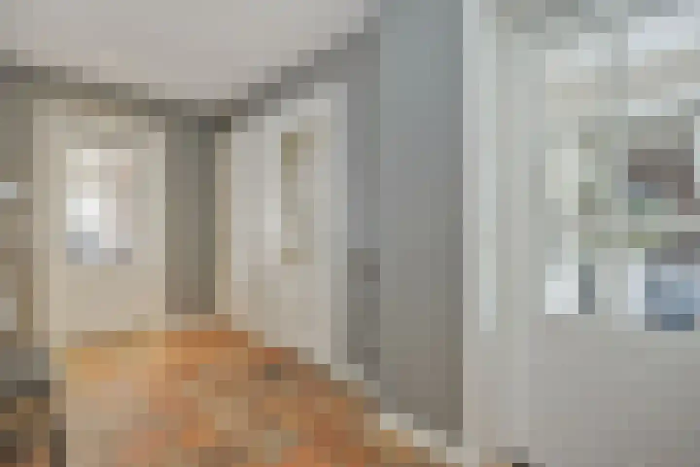Hogesteeg 40 Ammerzoden thumbnail 22