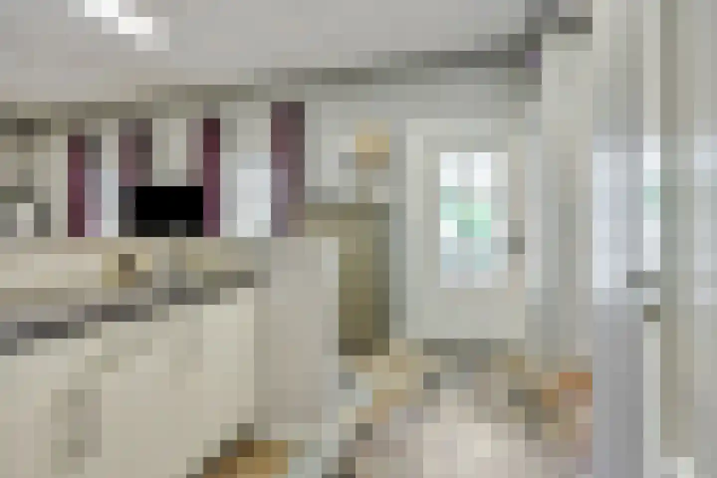 Hogesteeg 40 Ammerzoden thumbnail 24