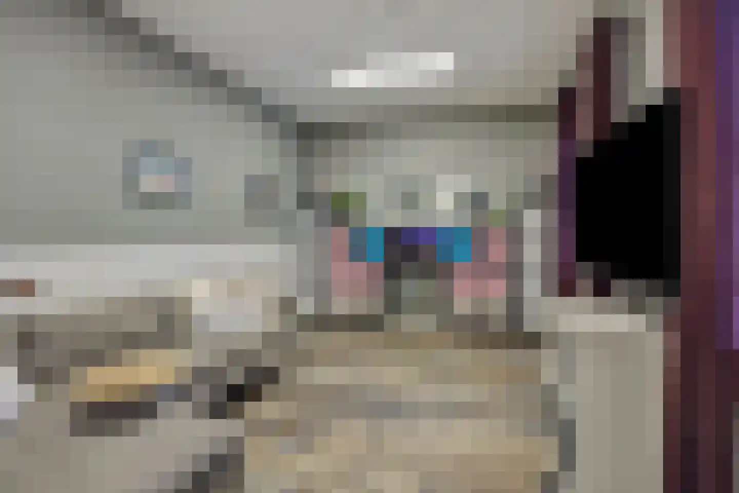 Hogesteeg 40 Ammerzoden thumbnail 25