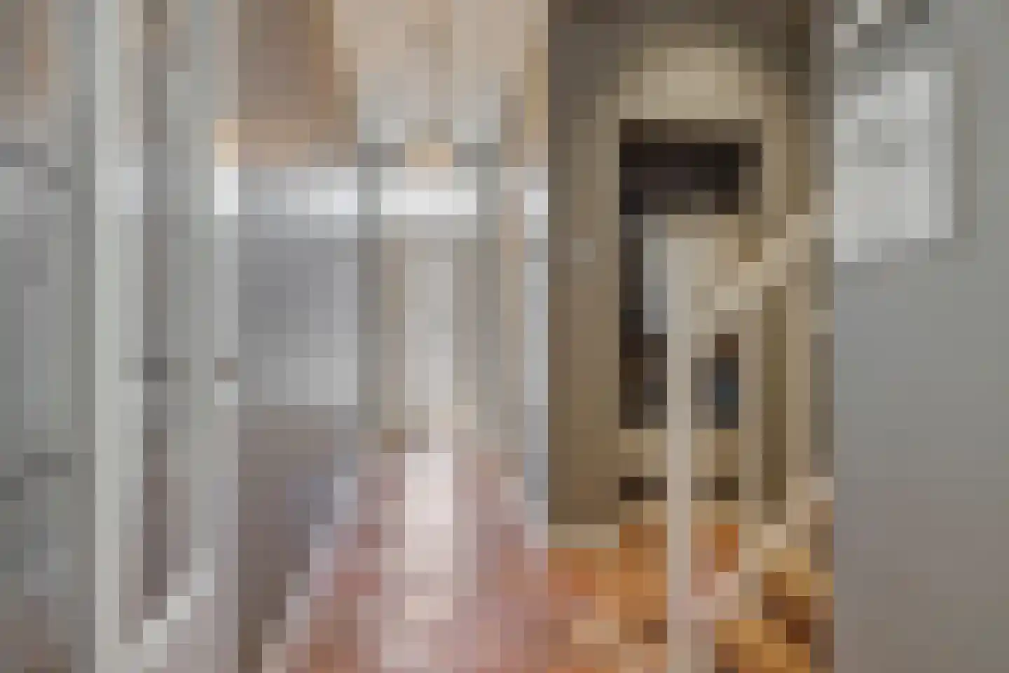 Hogesteeg 40 Ammerzoden thumbnail 29
