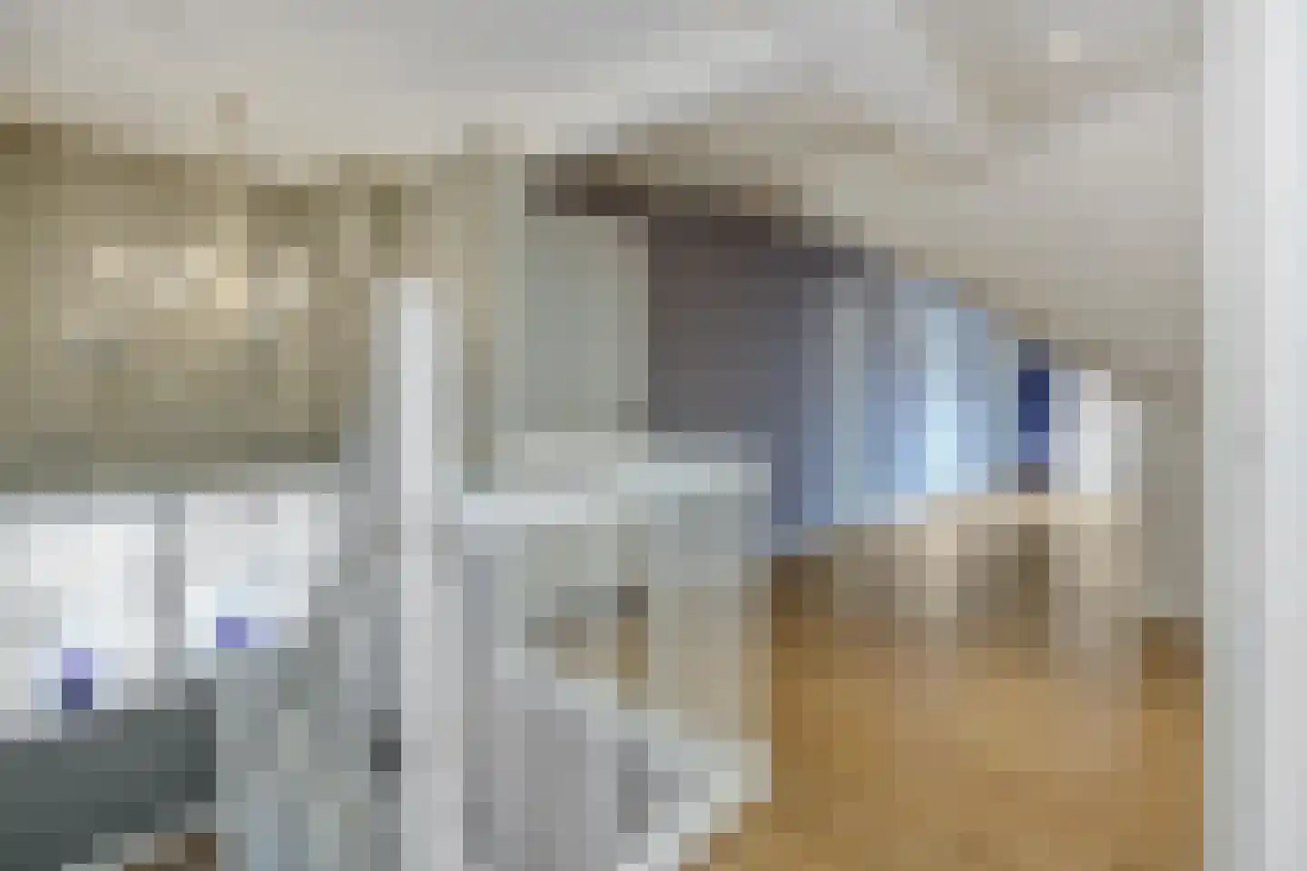 Hogesteeg 40 Ammerzoden thumbnail 31