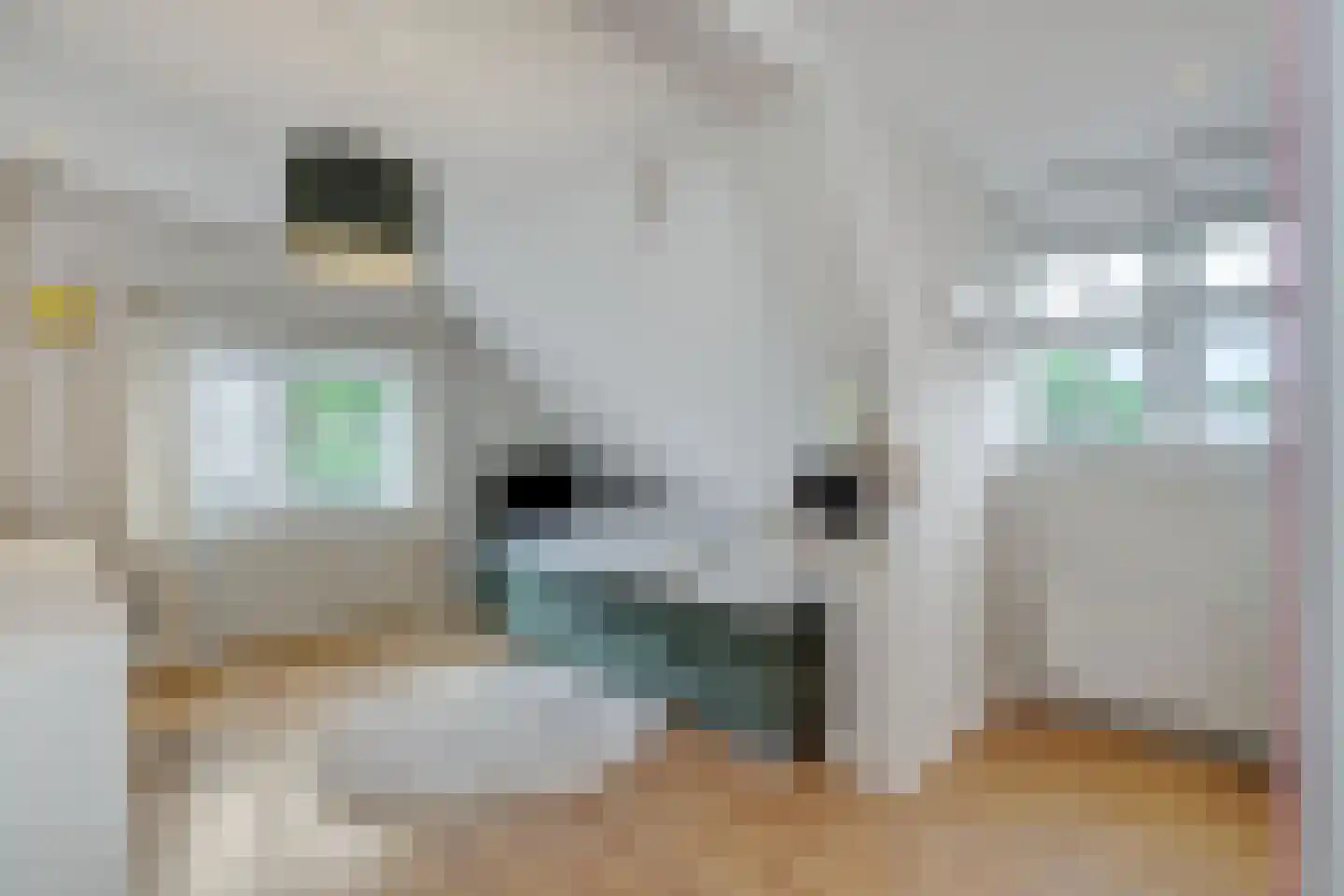 Hogesteeg 40 Ammerzoden thumbnail 32