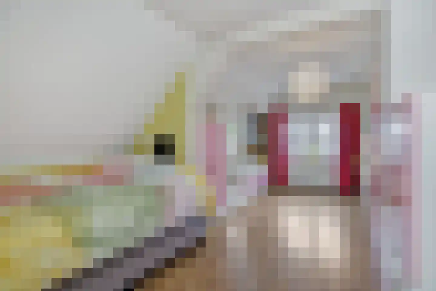 Hogesteeg 40 Ammerzoden thumbnail 34