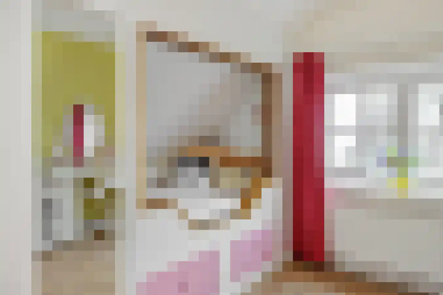 Hogesteeg 40 Ammerzoden thumbnail 35