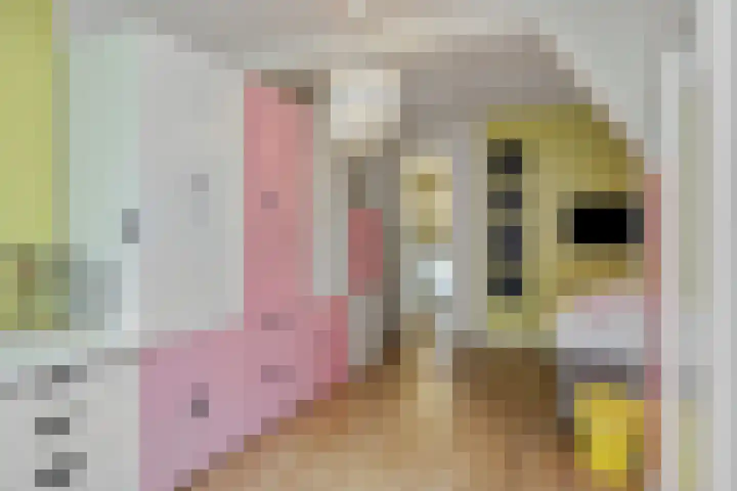 Hogesteeg 40 Ammerzoden thumbnail 36