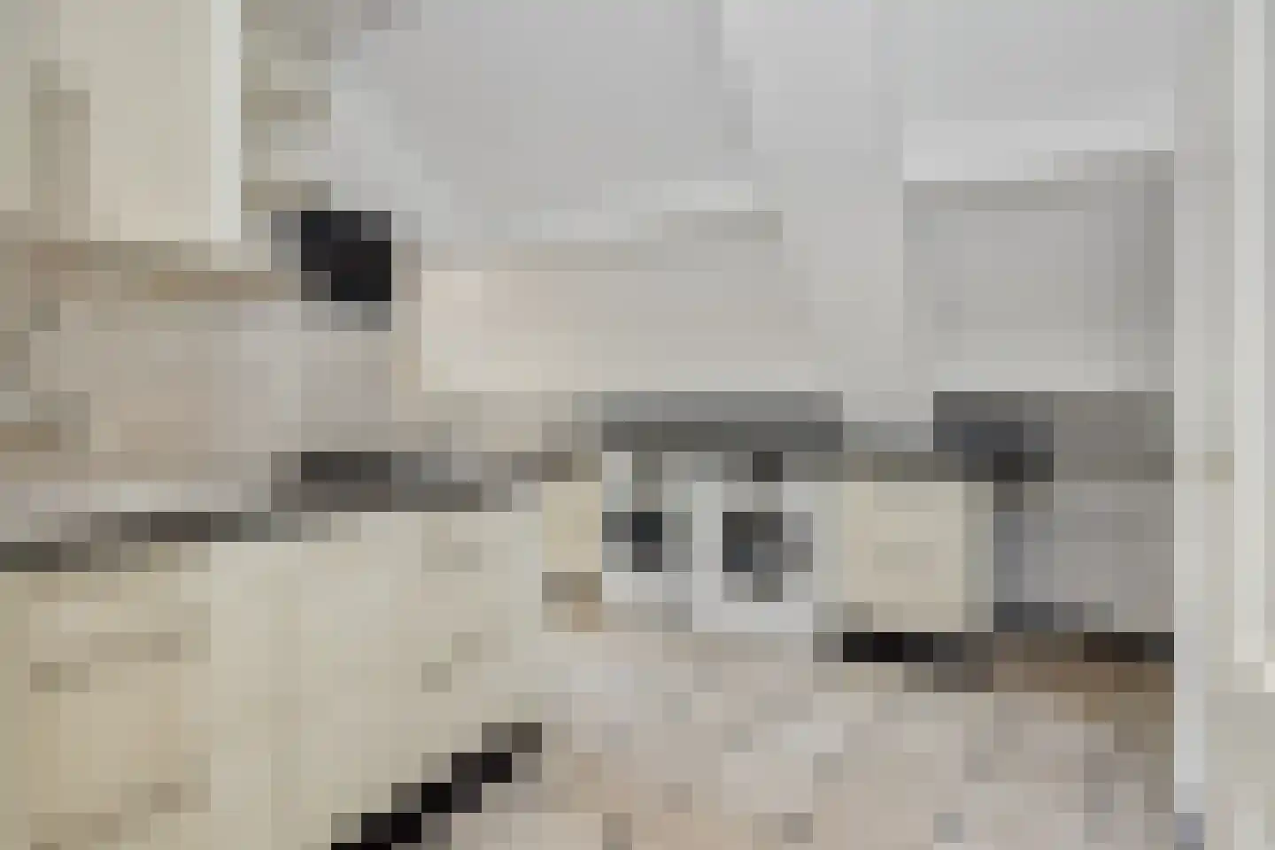 Hogesteeg 40 Ammerzoden thumbnail 38