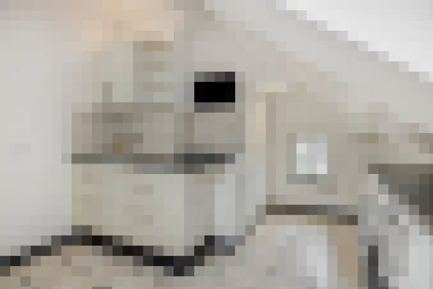 Hogesteeg 40 Ammerzoden thumbnail 39