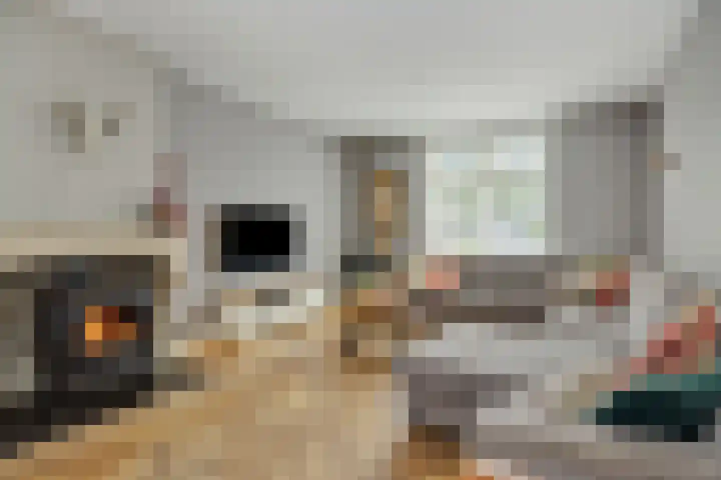 Hogesteeg 40 Ammerzoden thumbnail 4