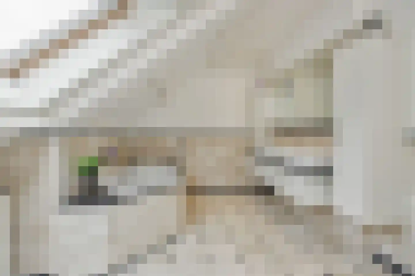 Hogesteeg 40 Ammerzoden thumbnail 41