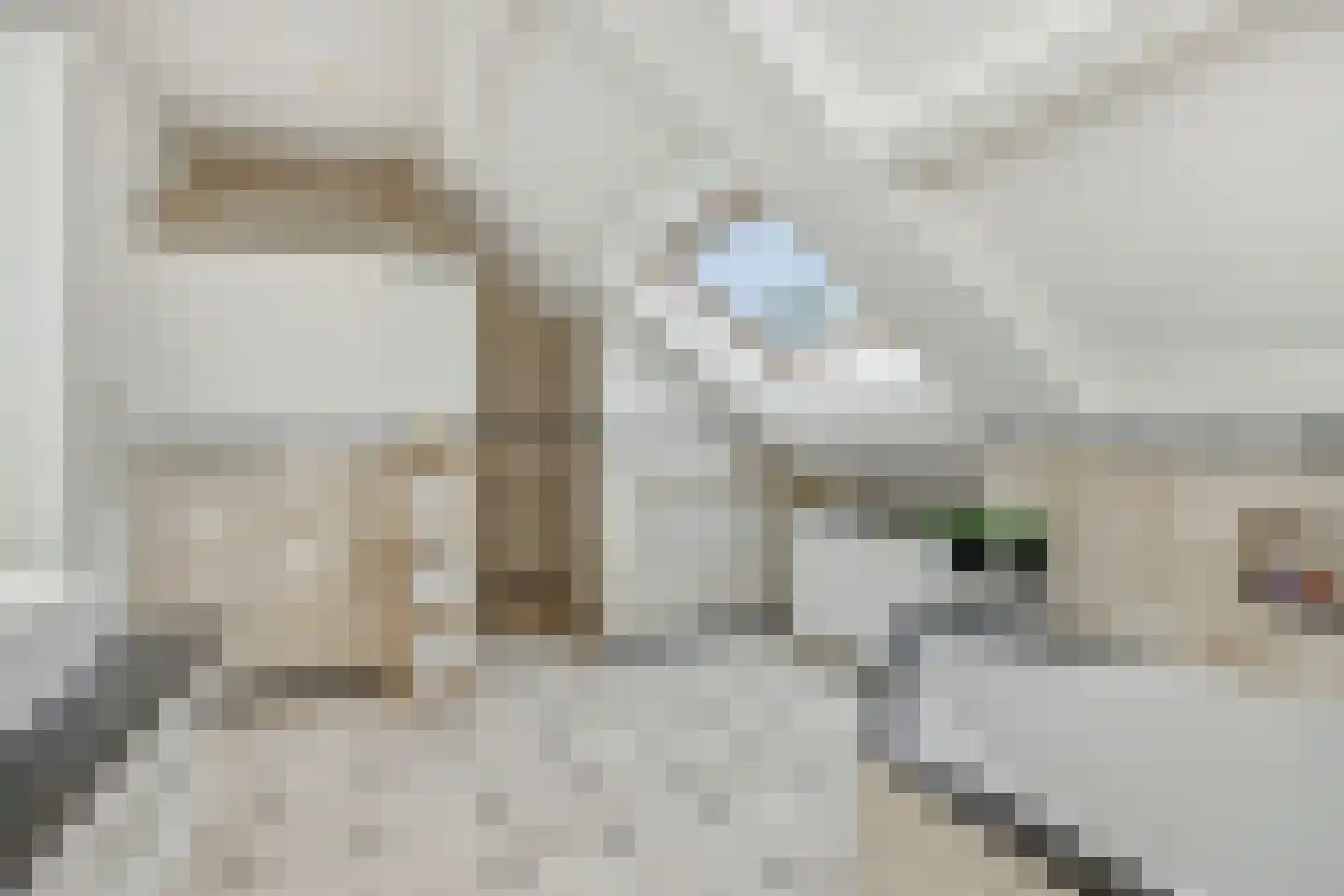 Hogesteeg 40 Ammerzoden thumbnail 42