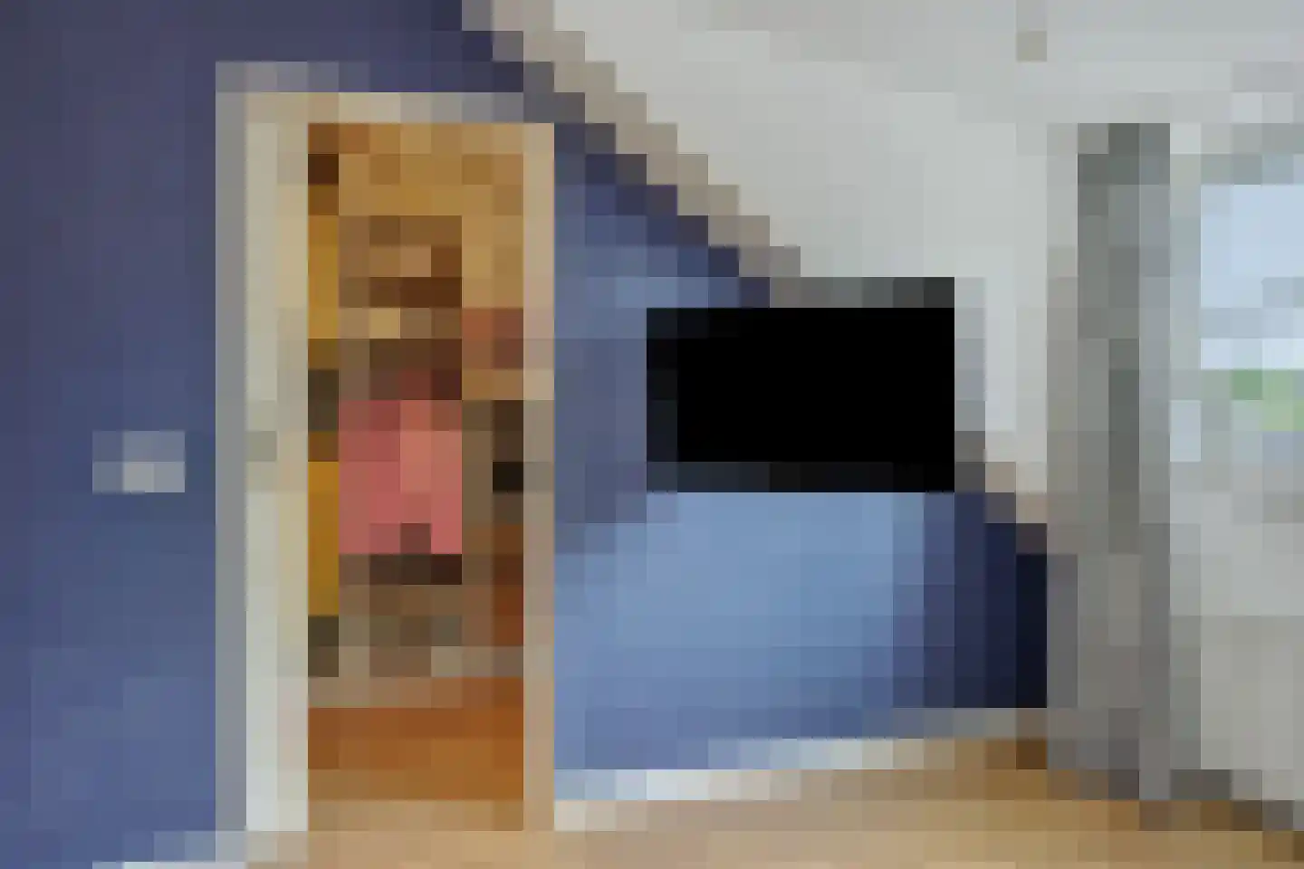 Hogesteeg 40 Ammerzoden thumbnail 47