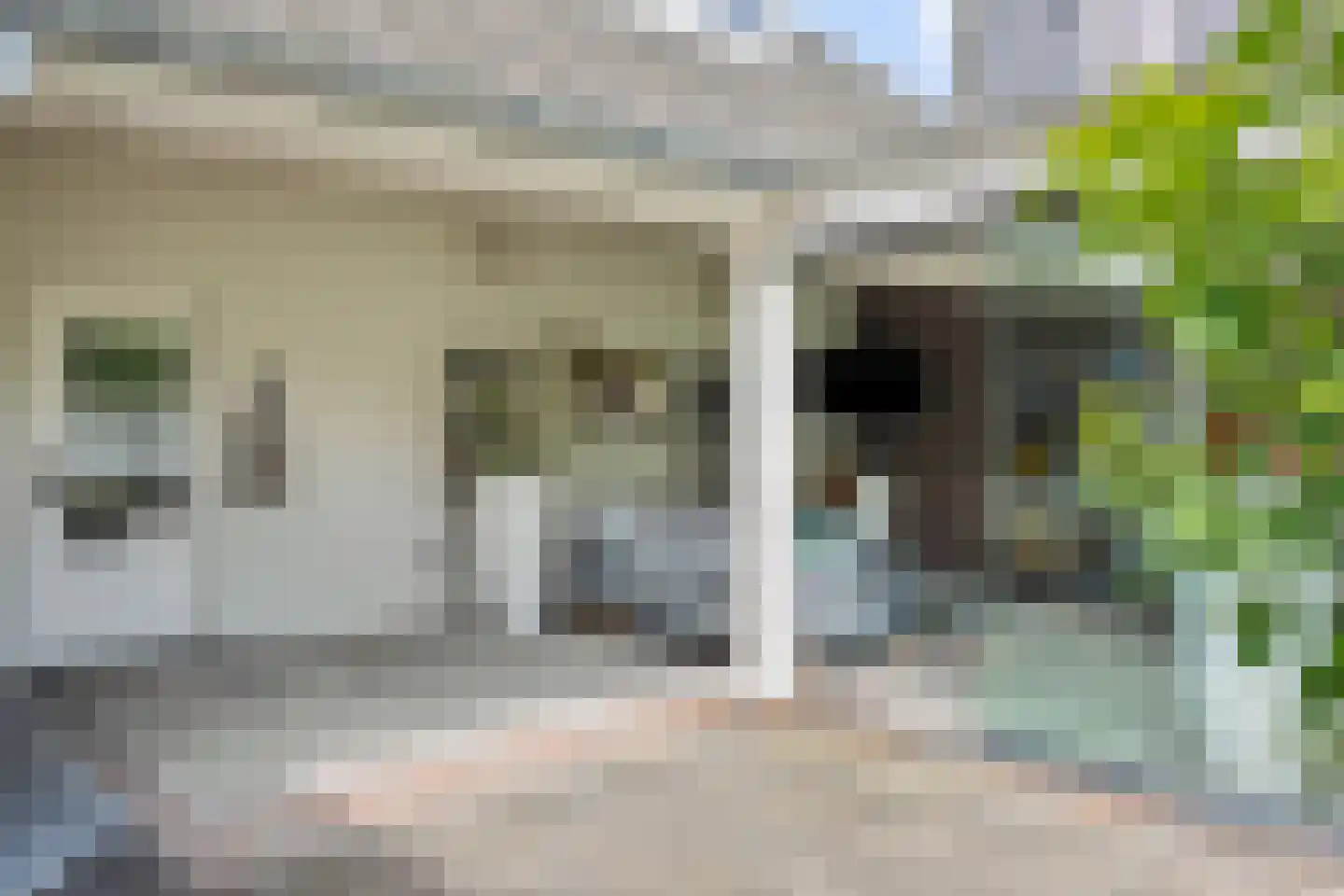 Hogesteeg 40 Ammerzoden thumbnail 48
