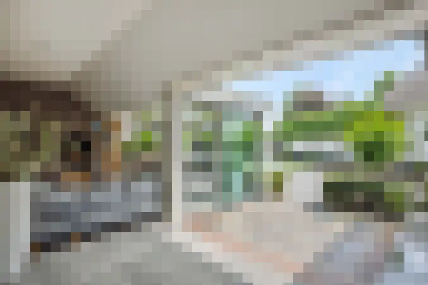Hogesteeg 40 Ammerzoden thumbnail 51