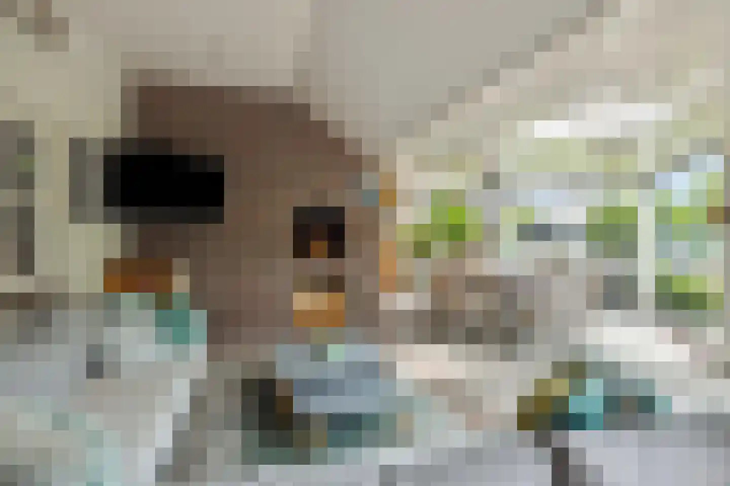 Hogesteeg 40 Ammerzoden thumbnail 52