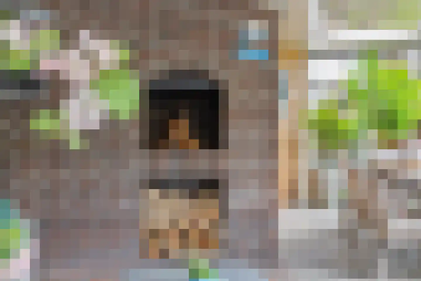 Hogesteeg 40 Ammerzoden thumbnail 53