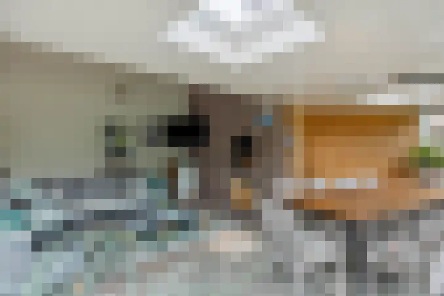 Hogesteeg 40 Ammerzoden thumbnail 54