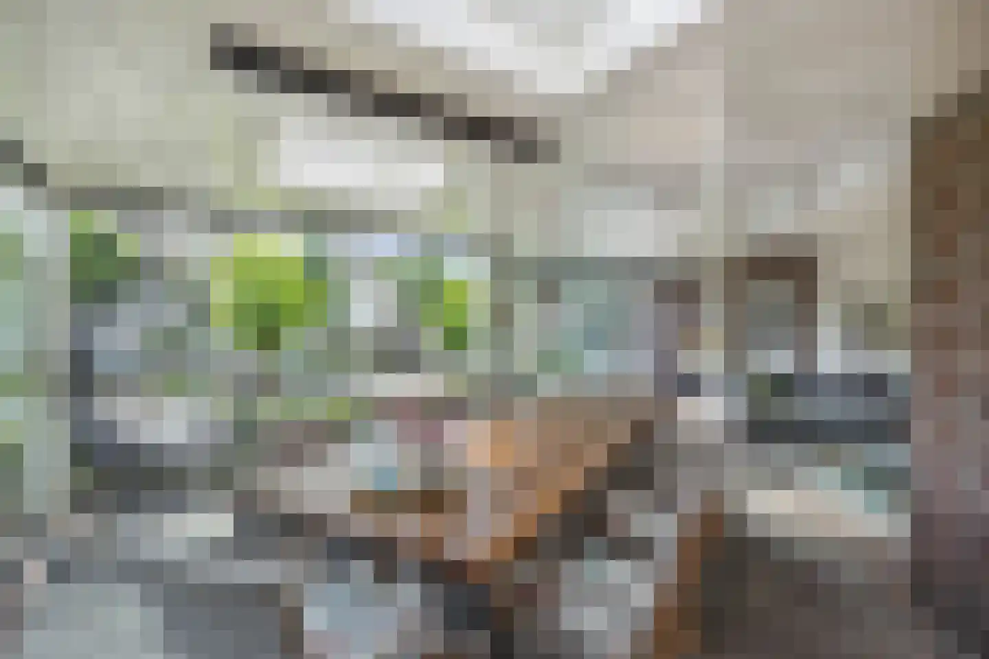 Hogesteeg 40 Ammerzoden thumbnail 55