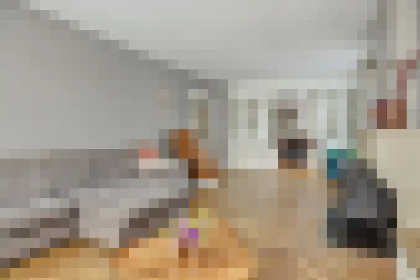 Hogesteeg 40 Ammerzoden thumbnail 7
