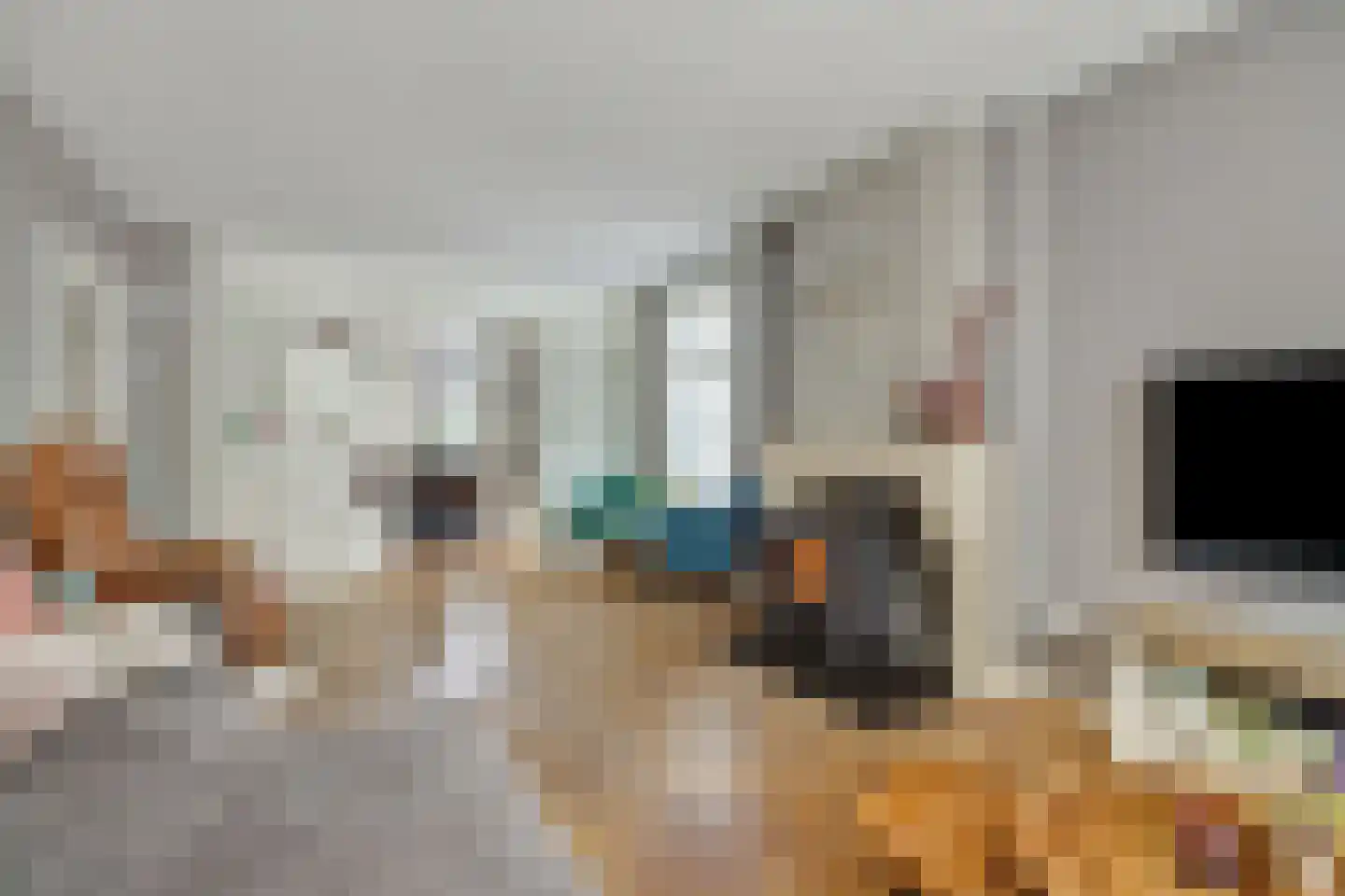 Hogesteeg 40 Ammerzoden thumbnail 9