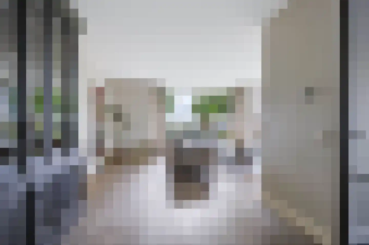 Hogesteeg 41 Garderen thumbnail 10