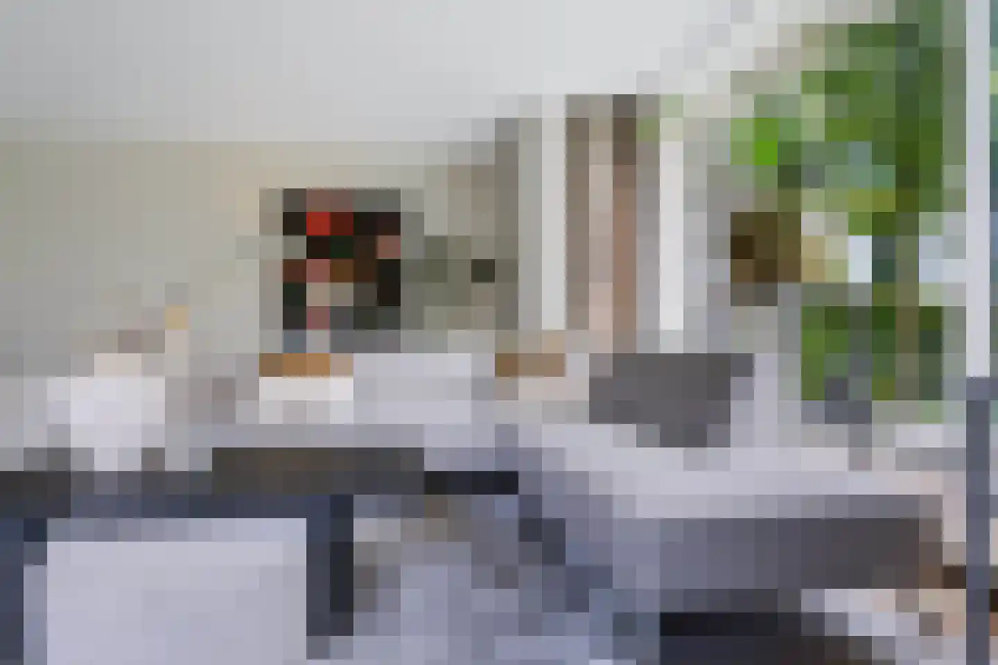 Hogesteeg 41 Garderen thumbnail 13