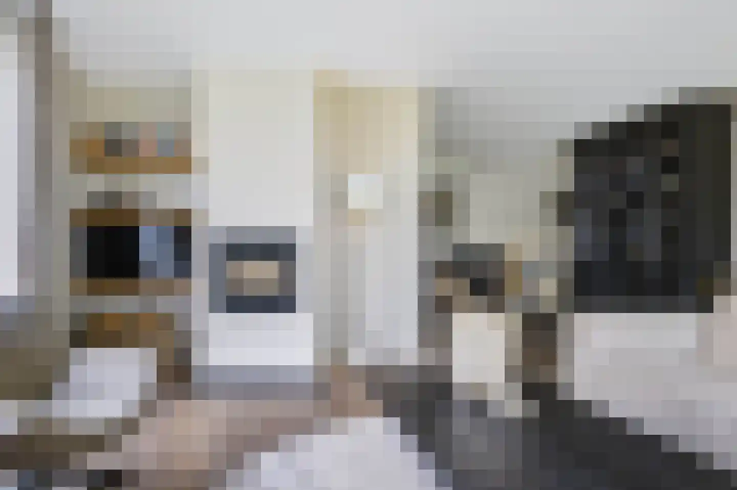 Hogesteeg 41 Garderen thumbnail 14