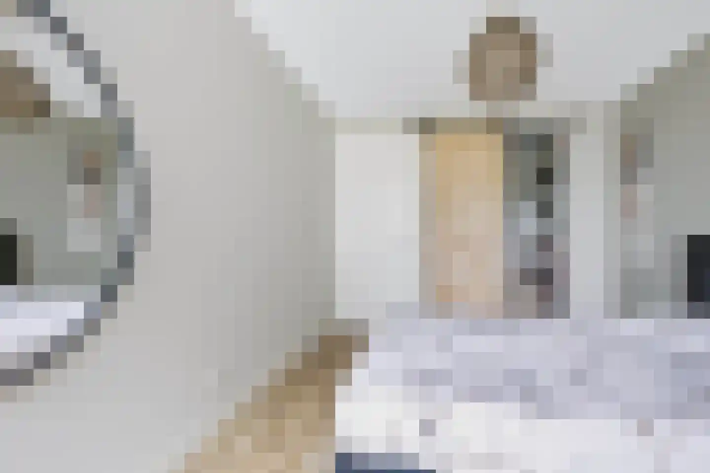 Hogesteeg 41 Garderen thumbnail 22