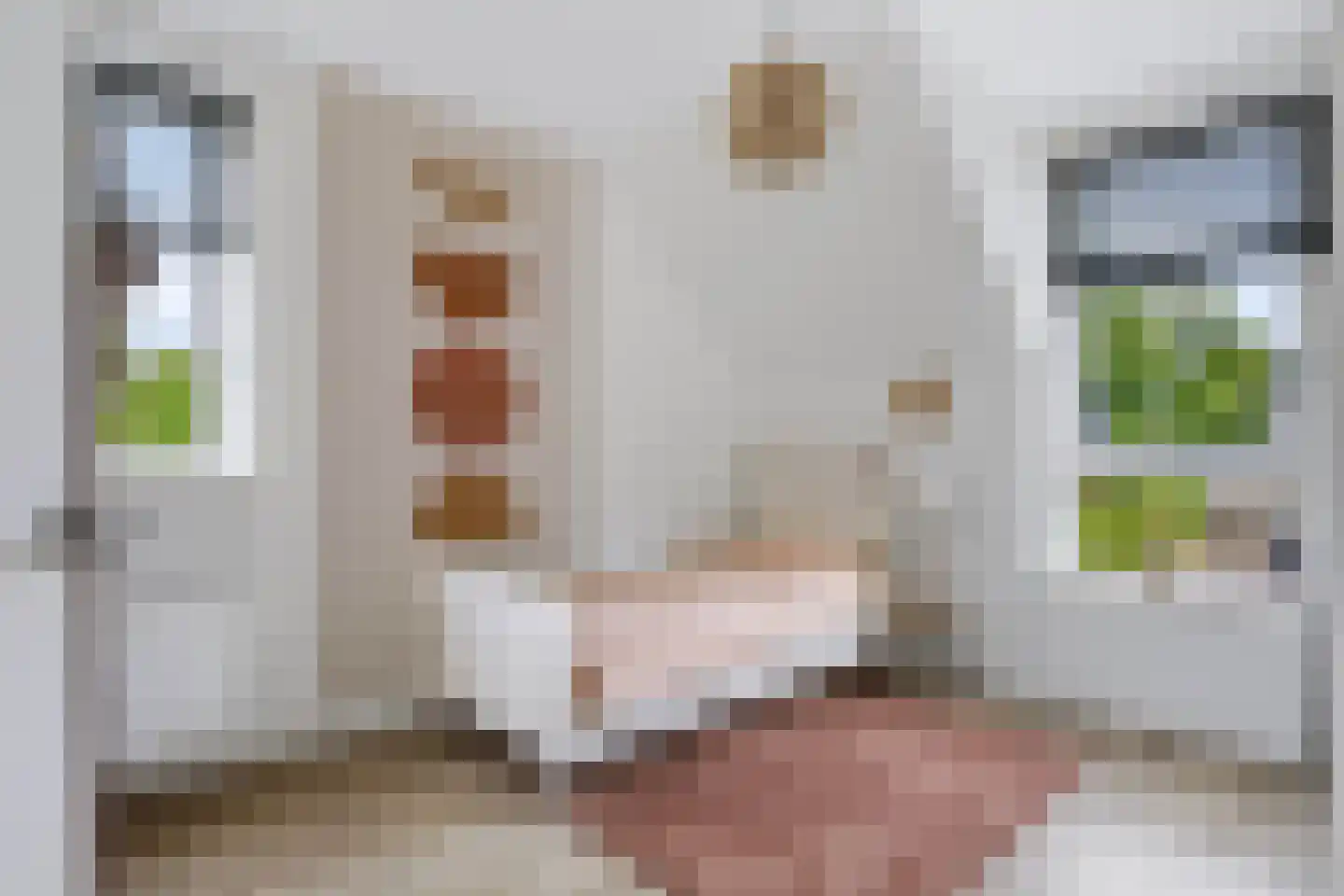 Hogesteeg 41 Garderen thumbnail 23