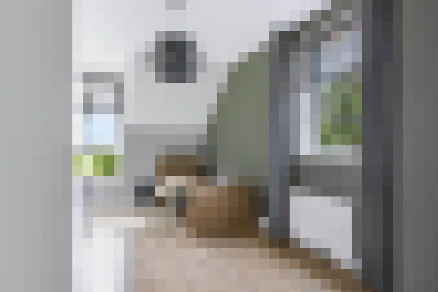 Hogesteeg 41 Garderen thumbnail 25