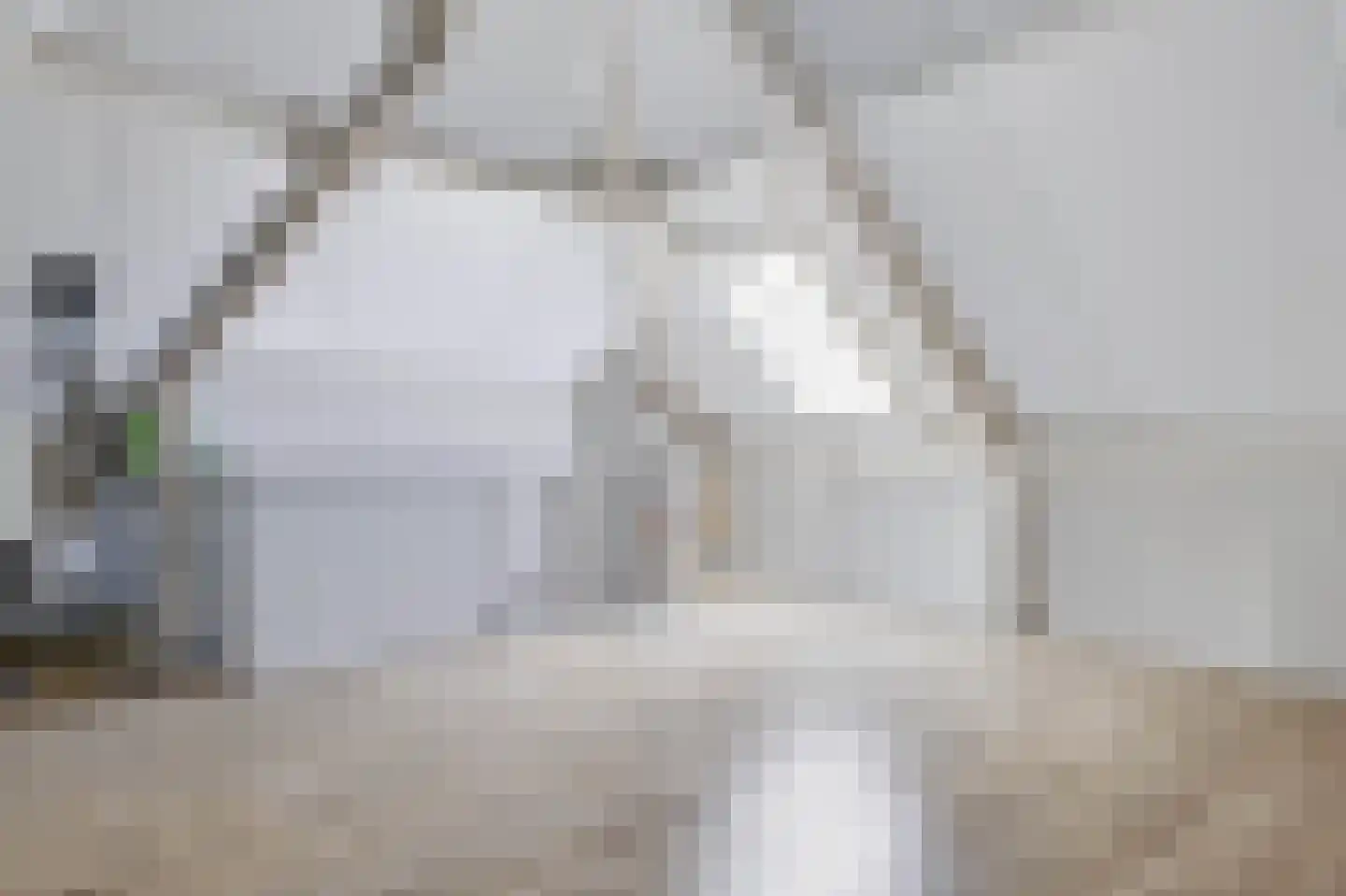 Hogesteeg 41 Garderen thumbnail 30