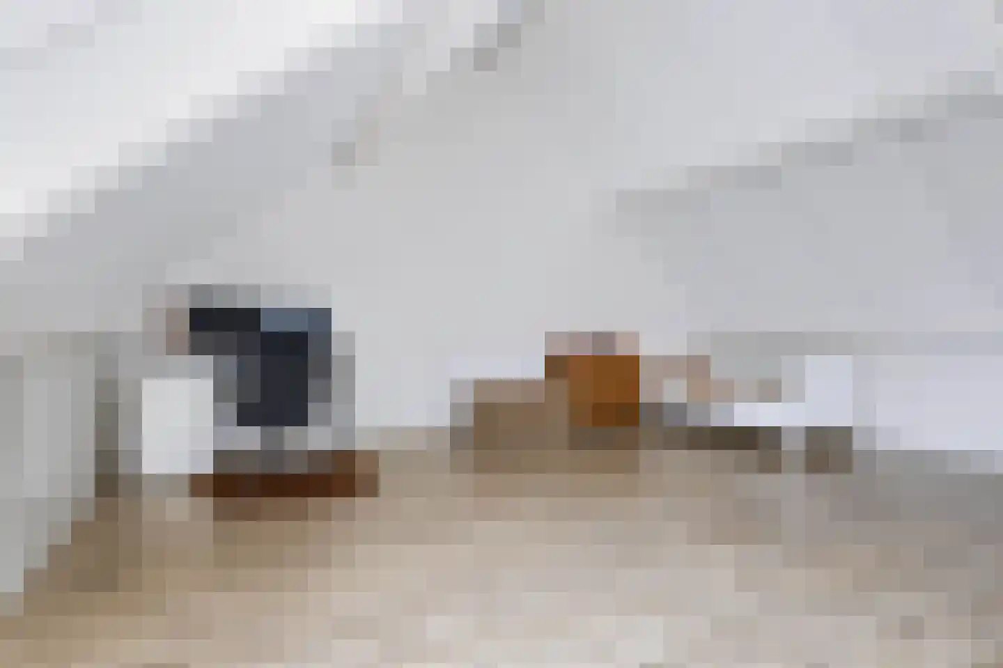Hogesteeg 41 Garderen thumbnail 31