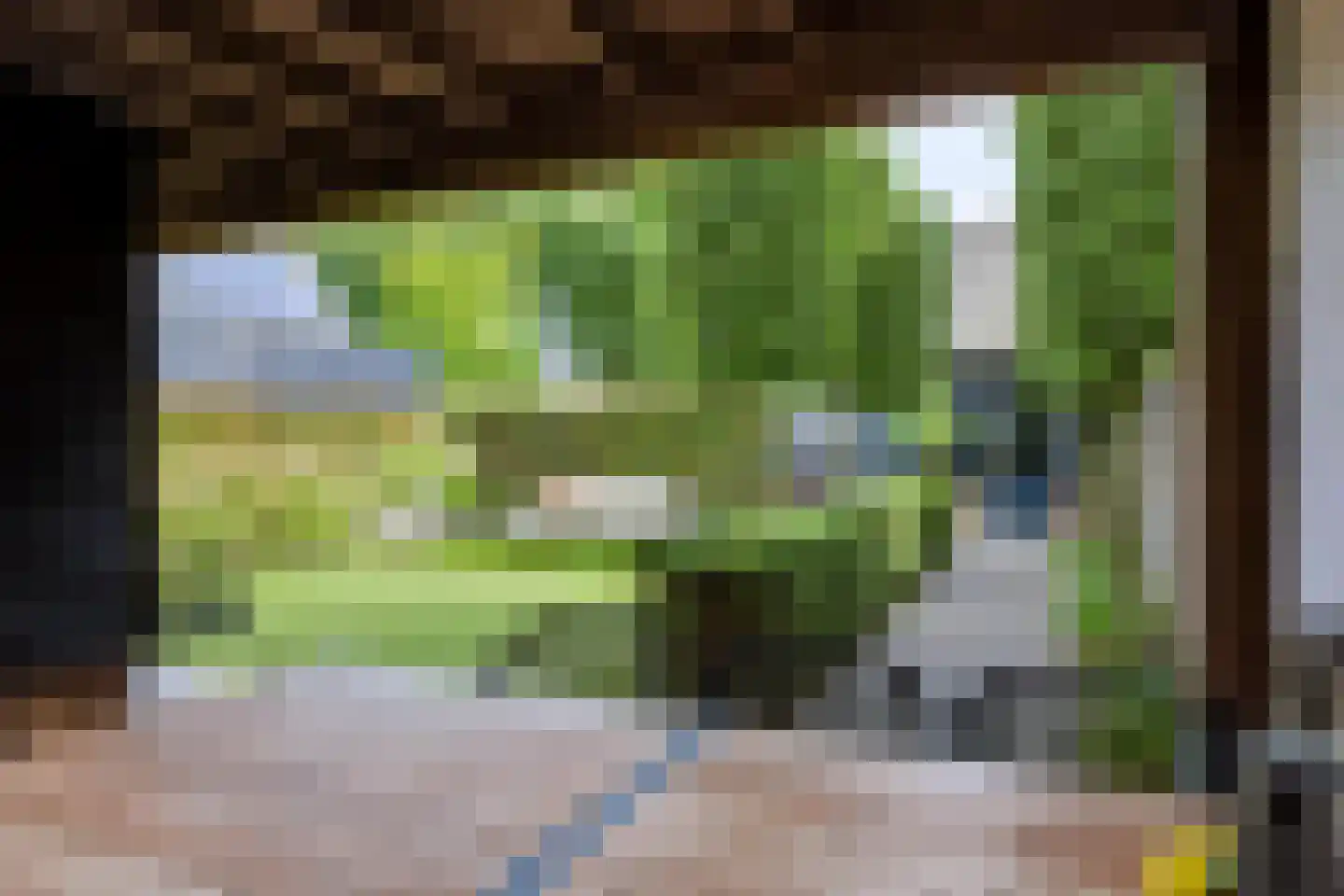 Hogesteeg 41 Garderen thumbnail 6