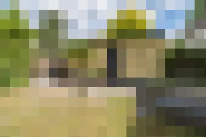 Hogesteeg 5 Driebergen-Rijsenburg thumbnail 38