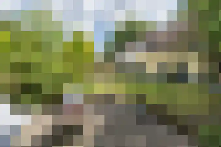 Hogesteeg 5 Driebergen-Rijsenburg thumbnail 40