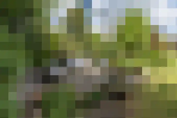 Hogesteeg 5 Driebergen-Rijsenburg thumbnail 42