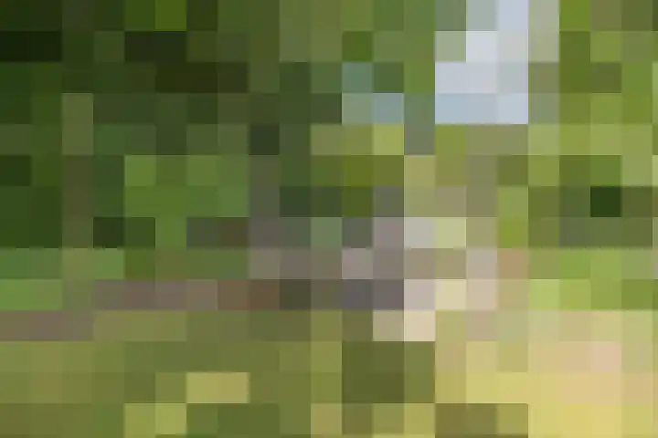 Hogesteeg 5 Driebergen-Rijsenburg thumbnail 43