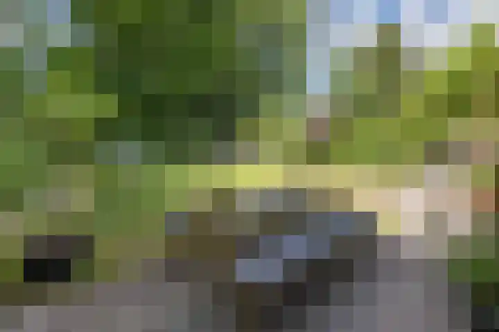Hogesteeg 5 Driebergen-Rijsenburg thumbnail 46