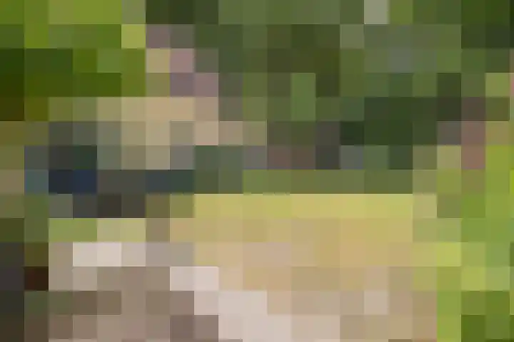 Hogesteeg 5 Driebergen-Rijsenburg thumbnail 47