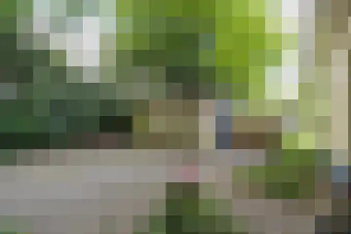 Hogesteeg 5 Driebergen-Rijsenburg thumbnail 51
