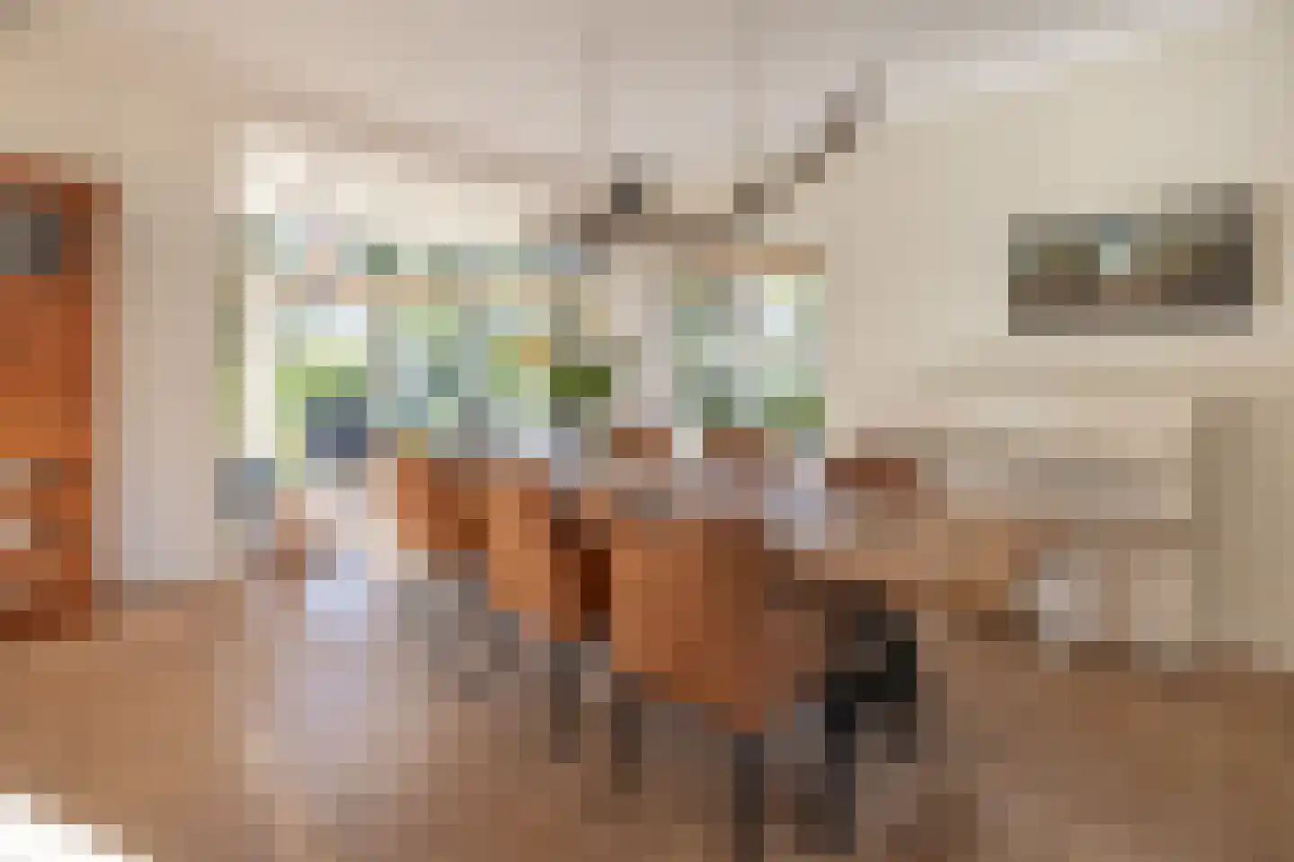 Hogesteeg 6 Driebergen-Rijsenburg thumbnail 10