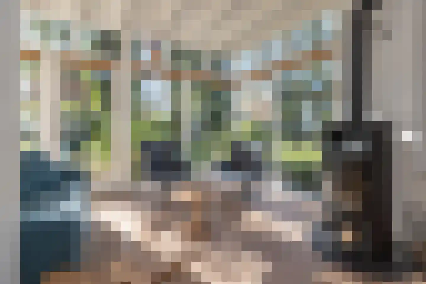 Hogesteeg 6 Driebergen-Rijsenburg thumbnail 11