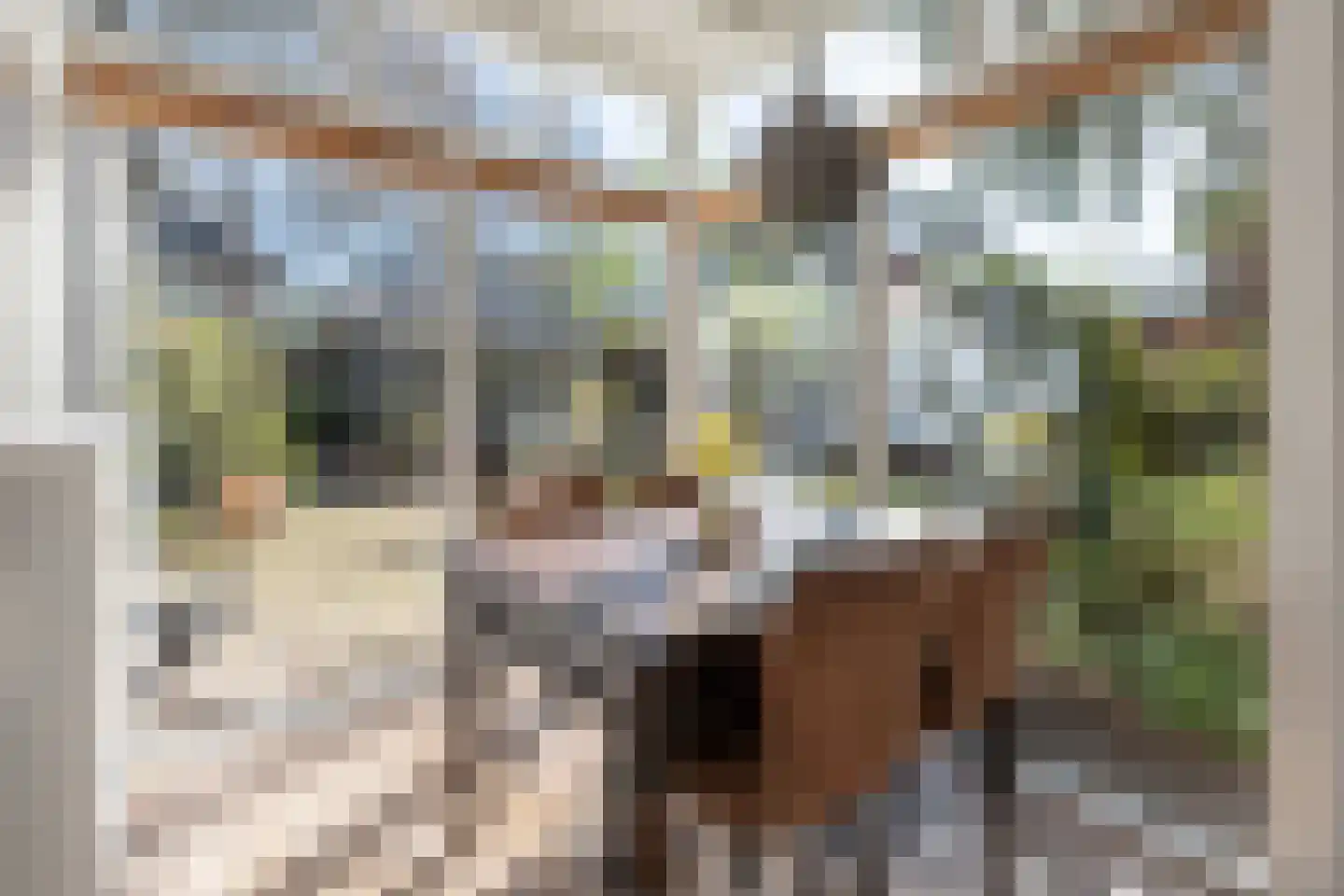 Hogesteeg 6 Driebergen-Rijsenburg thumbnail 14