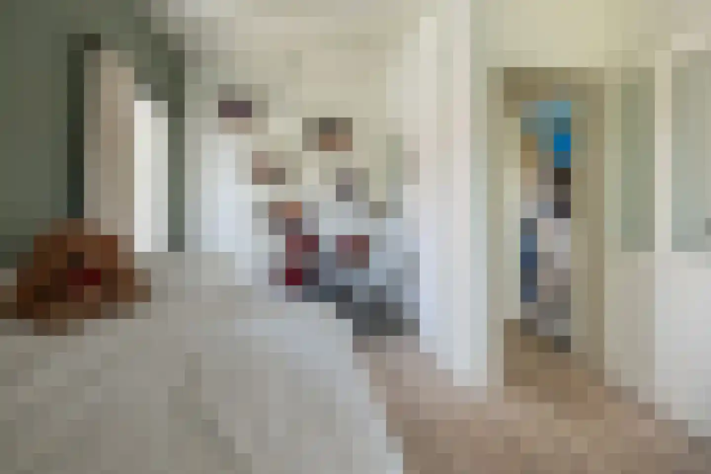 Hogesteeg 6 Driebergen-Rijsenburg thumbnail 33