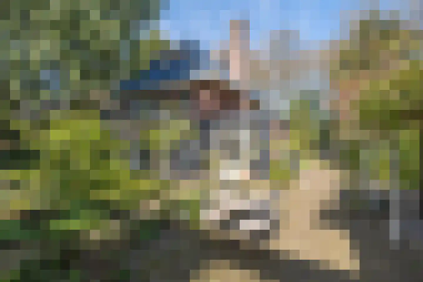 Hogesteeg 6 Driebergen-Rijsenburg thumbnail 4