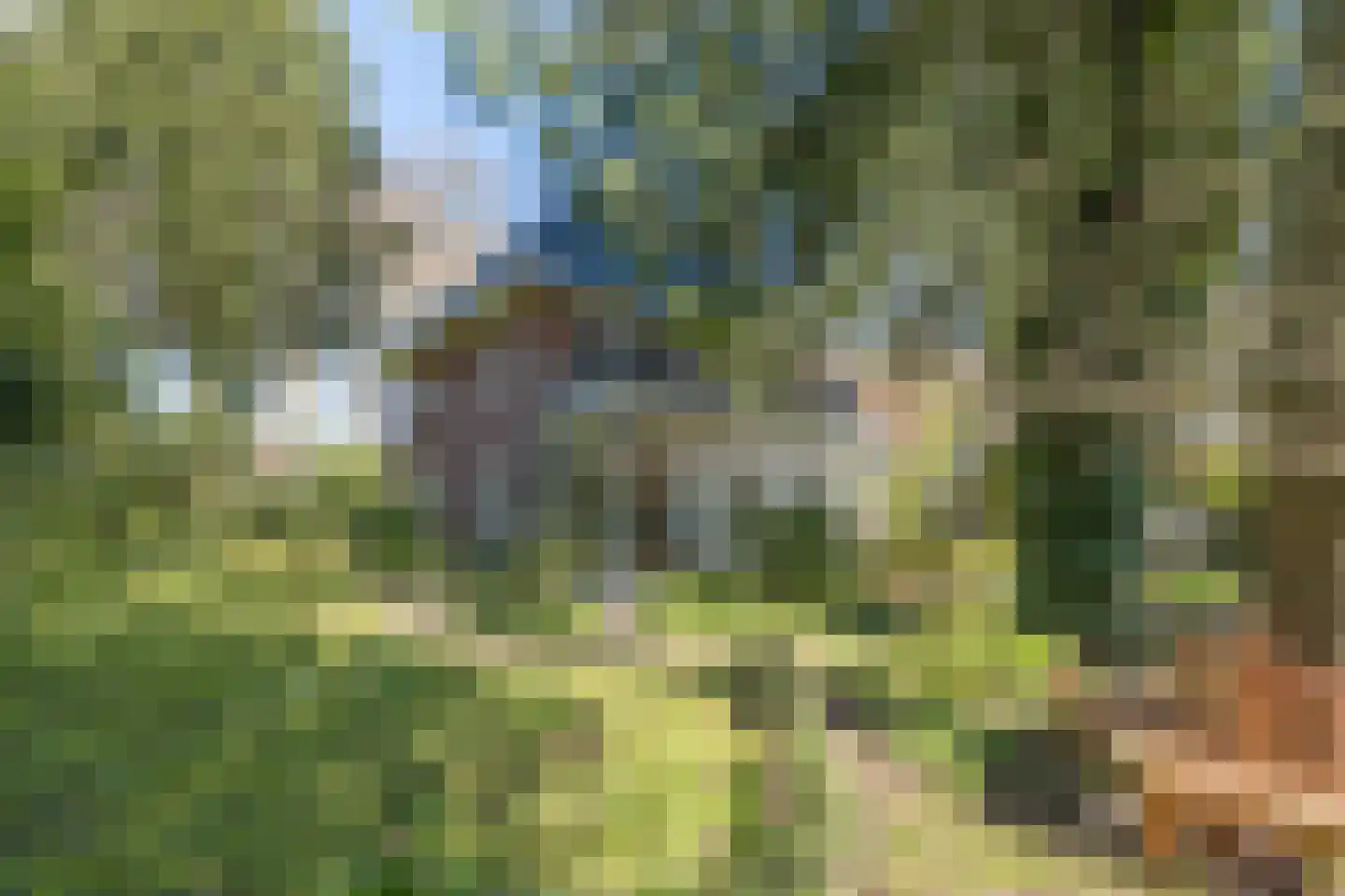 Hogesteeg 6 Driebergen-Rijsenburg thumbnail 47