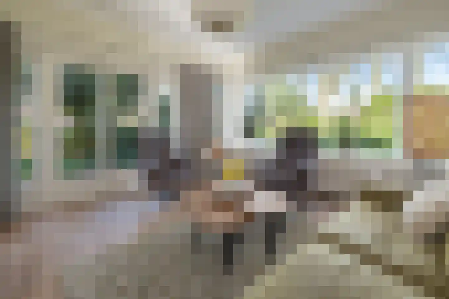 Hogesteeg 6 Driebergen-Rijsenburg thumbnail 5