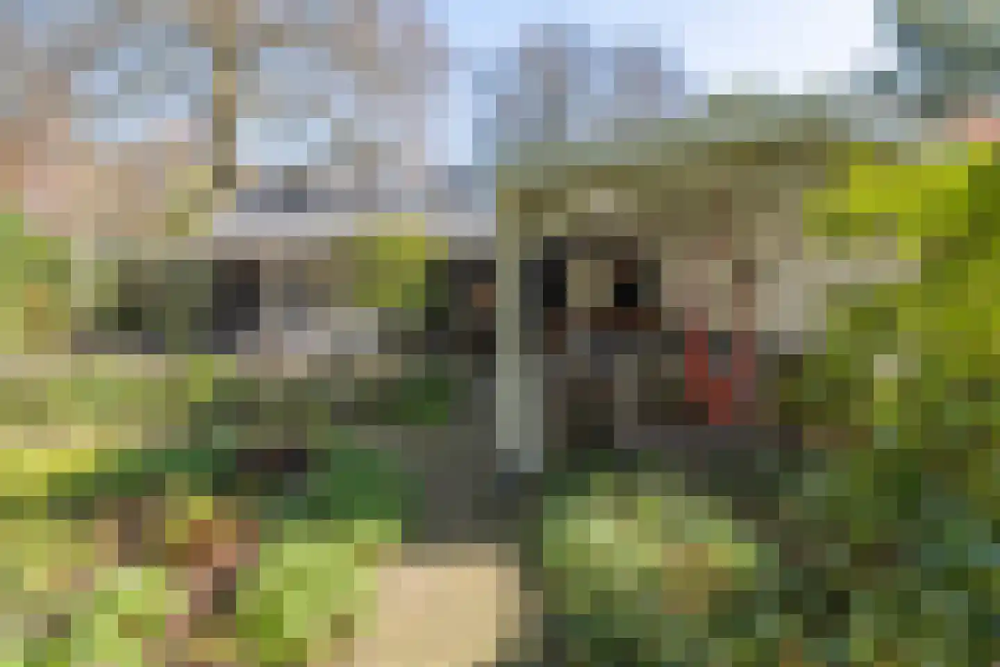 Hogesteeg 6 Driebergen-Rijsenburg thumbnail 50